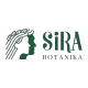 Sira Botanika