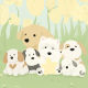 pipi puppy