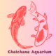 Chaichana Aquarium