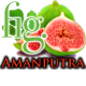 Fig Amanputra