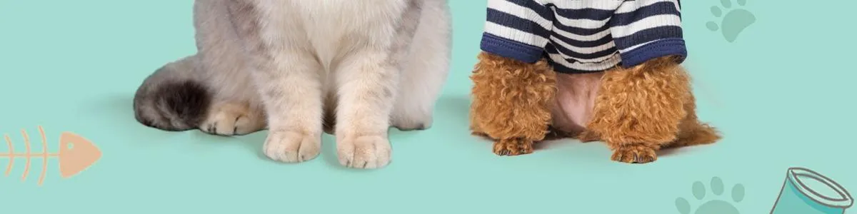 TAO Pet Supplies Philippines Official Online Store Shop Now on