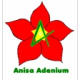 Anisa Adenium