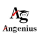 Angenius Premium Store