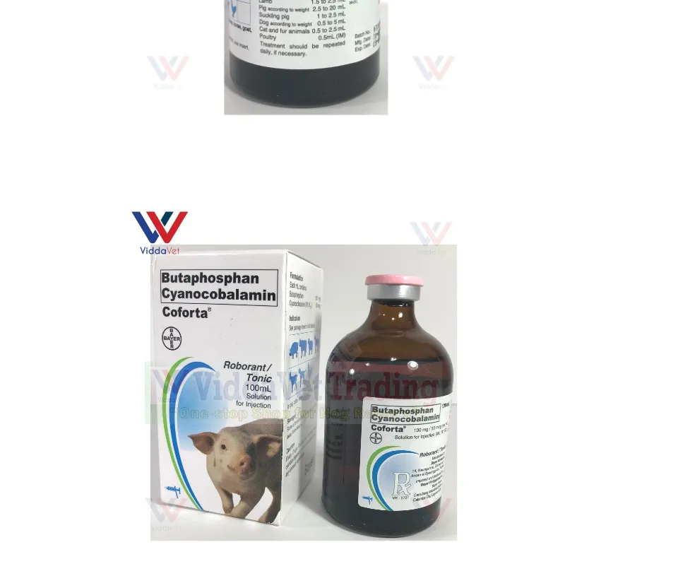 Coforta 100ml butaphosphan Vitamin B12 for pets, livestock swine