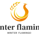 Winter flamingo