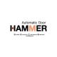 Hammer Automatic Door