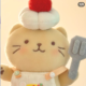 Fluff Market