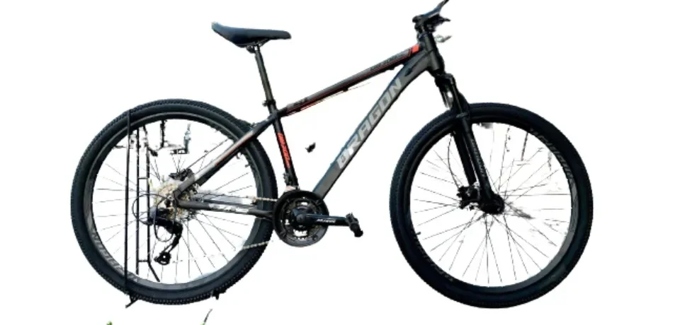 Totem 29er mountain clearance bike