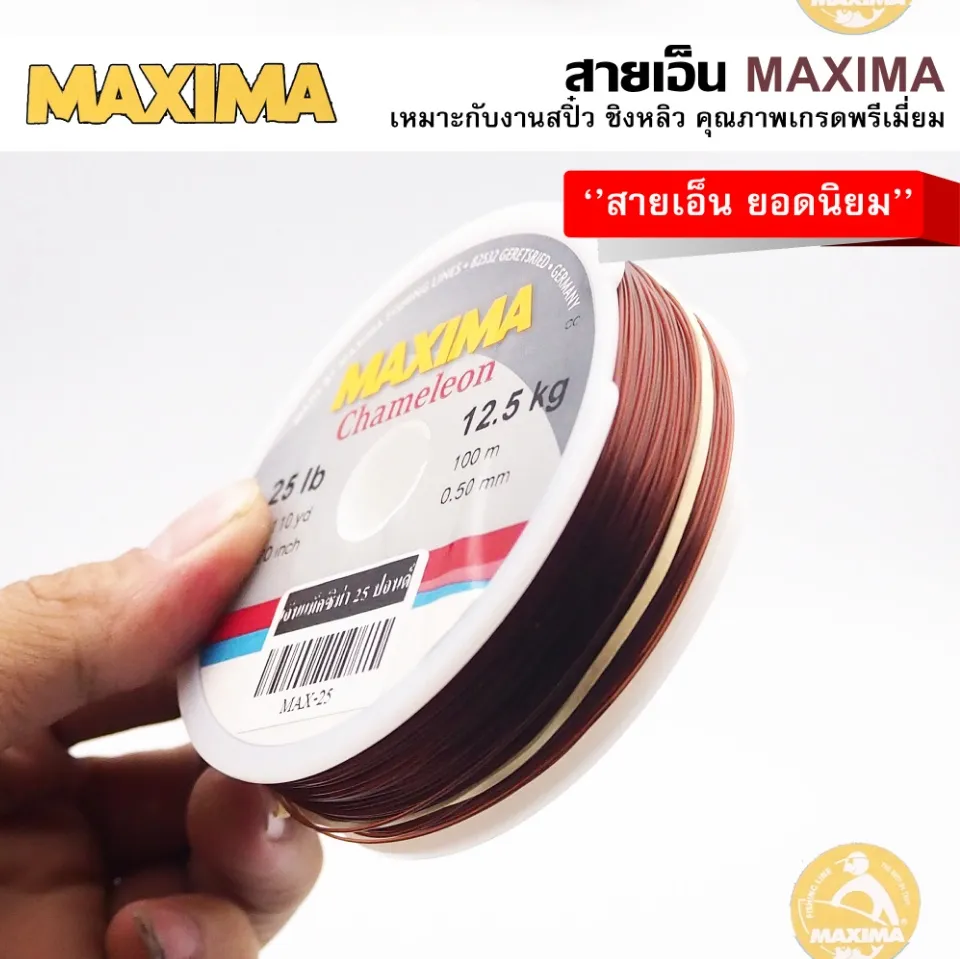 สายเอ็น MAXIMA