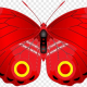 red-butterfly