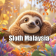 sloth malaysia