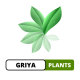 griya plants