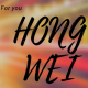 hongwei01