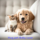 Hug pet Baby Love