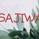 SAJIWA DISTRO
