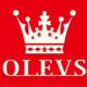 OLEVS Fashion Store