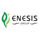 Enesis Group
