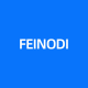 FEINODI Accessories Store