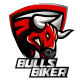 BULLSBIKER