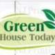green_house_today 36915