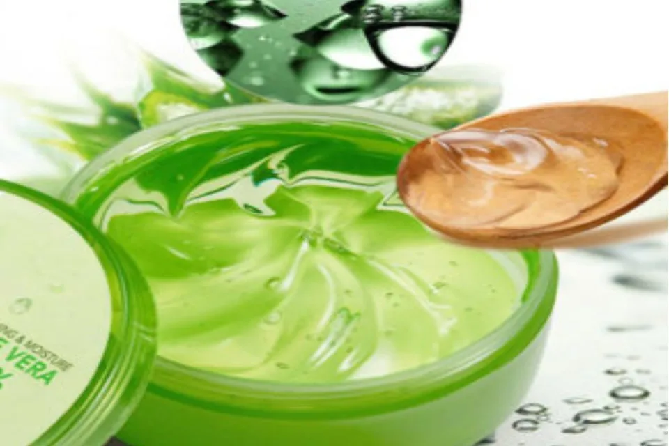 blauregen online bestellen Chinesischer Blauregen | kaufen main image 0
