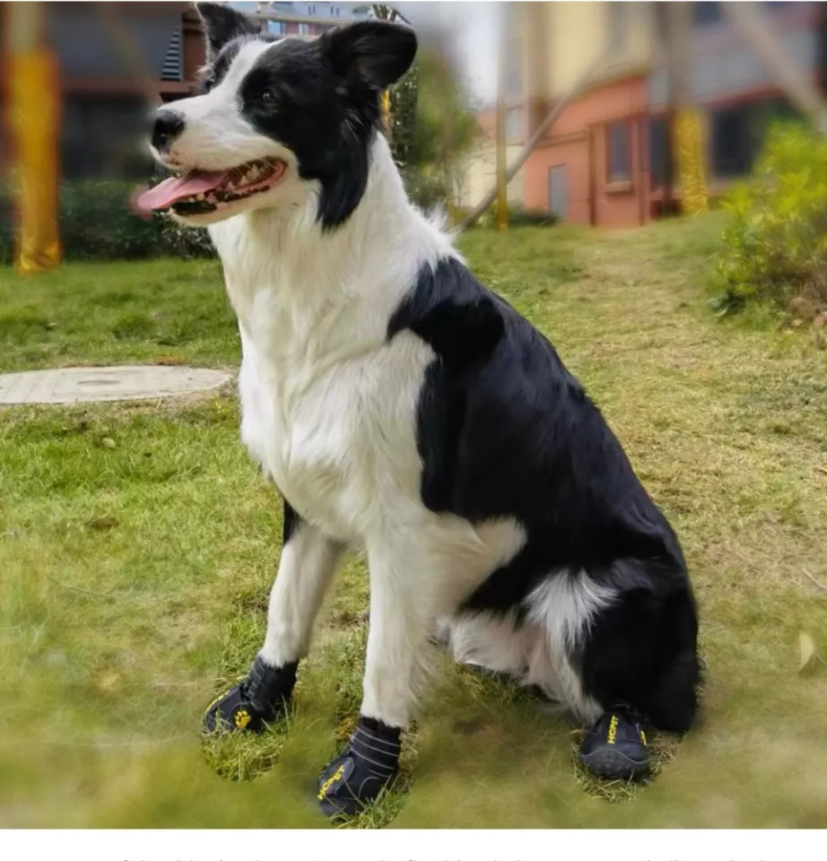 Anti-Slip Dog Socks For Hot Pavement,Dog Socks For Senior Dogs Walk On Hardwood Floor,Dog Grippers With Strong Traction,Dog Essentials,Grey 2 Pairs,M