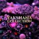 YAKSHANA COLLECTION