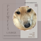 Peewee's Lounge