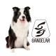 Sangelar Pet House