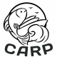 CARPPFD