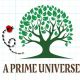 A PRIME UNIVERSE