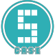 S Case