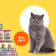 Wimow Pet Supplies Online Shop