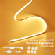 insinyur LED