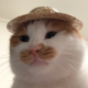 Fluffy Farmer