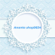 Ananta Shop9834