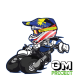 gm_project