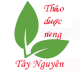 Thảo dược rừng tây nguyên