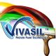 vivasil paints