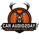 caraudio2day by p-one