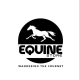 EQUINE STORE
