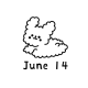 Light of june