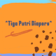 TigaPutri Diapers