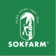 Mật Hoa Dừa Sokfarm