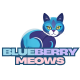 BlueberryMeows' Souvenir Shop