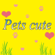 Pets cute