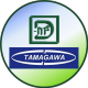 Tamagawa Electronics