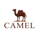 Desert Camel Mall