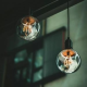 Raz lighting