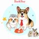BarkBay